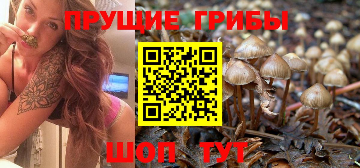 Галлюциногенные грибы ЛСД  Вход с VPN  Славянск-на-Кубани 